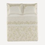 Karsten - Jogo de Cama Queen 200 Fios 100% Algodão Eva